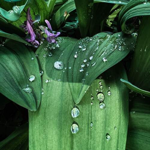 Photo #12496586
