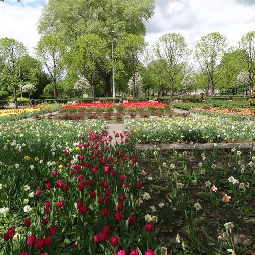 Photo #12496795