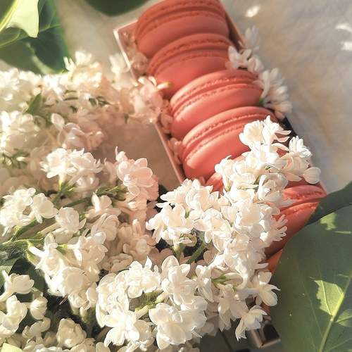 Photo #12496804