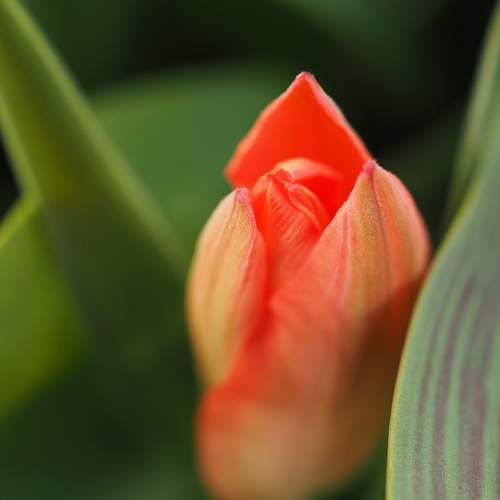 Photo #12496885