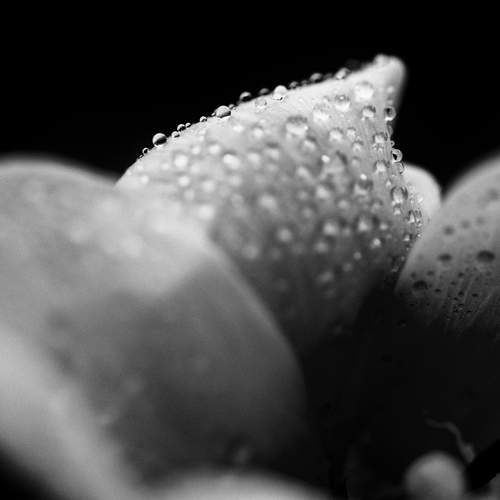 Photo #12496886