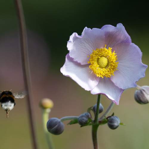 Photo #12496918