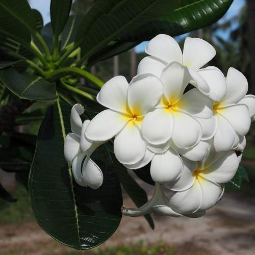 Photo #12496962