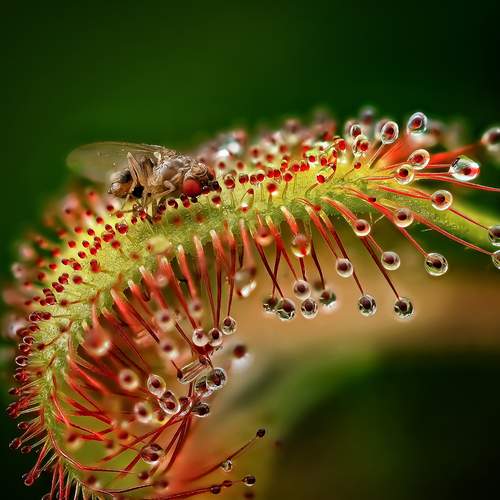 Photo #12497035