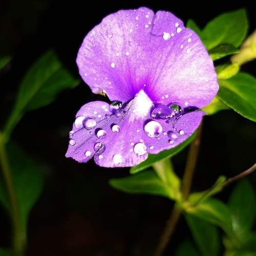 Photo #12497072