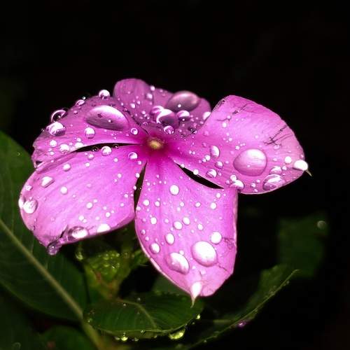Photo #12497073