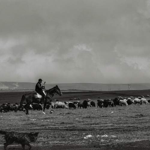 Photo #12497078