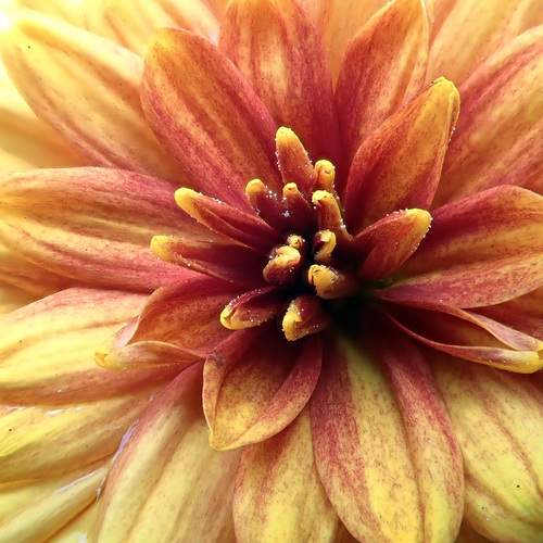 Photo #12497162