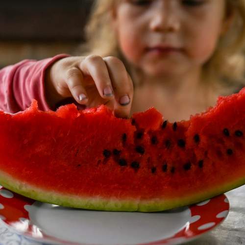 Фотография #12497167