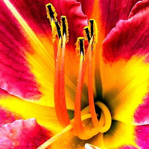 Photo #12497783