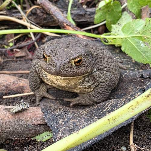 Photo #12497840