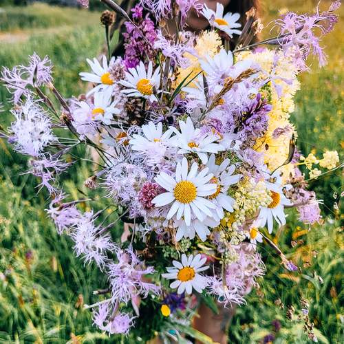 Photo #12497874