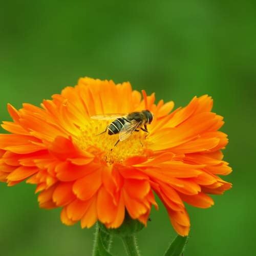 Photo #12498002