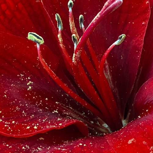 Photo #12498060