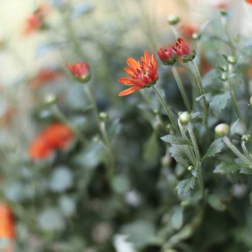 Photo #12498069