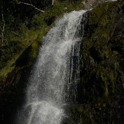 Photo #12498111