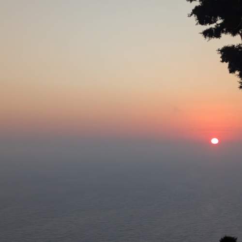 Photo #12498120