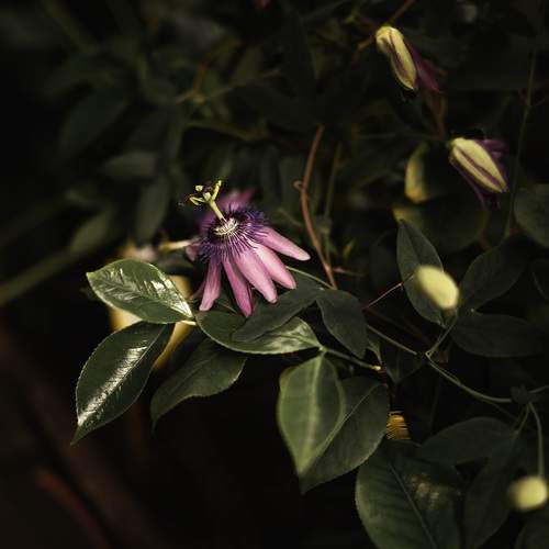 Photo #12498188