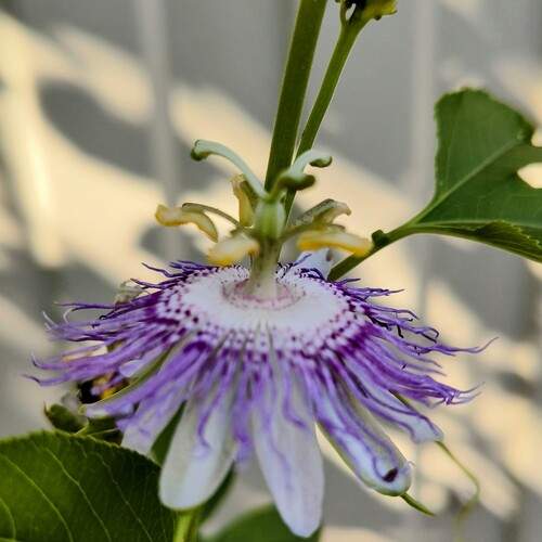 Photo #12498270