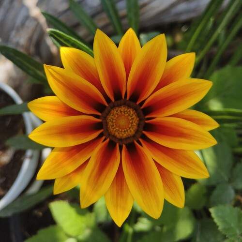 Photo #12498280
