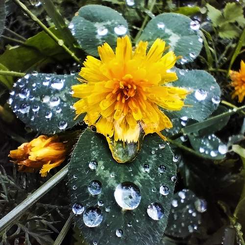 Photo #12498407