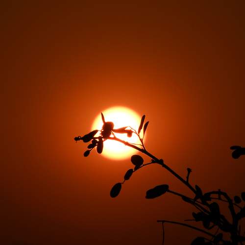 Photo #12498414