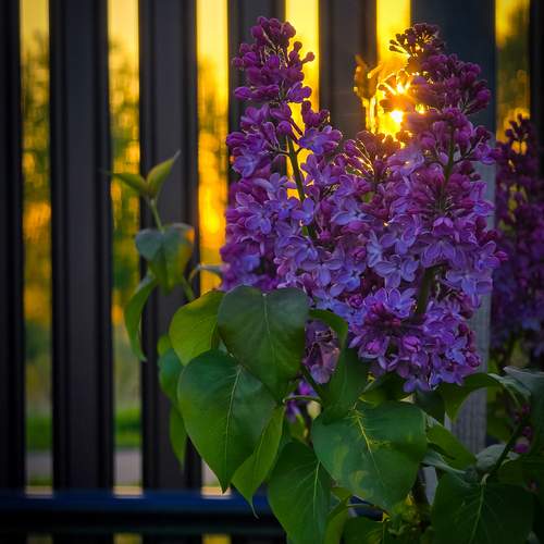 Photo #12498422