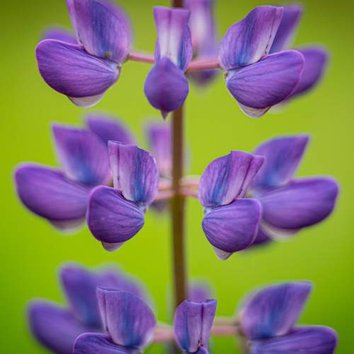 Photo #12498509