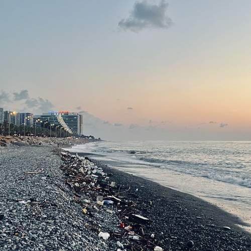 Photo #12499000