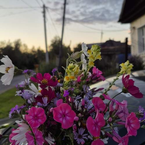 Photo #12499241