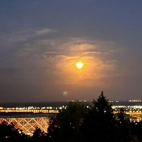 Photo #12499419