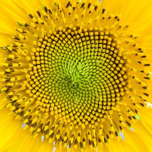 Have a close look