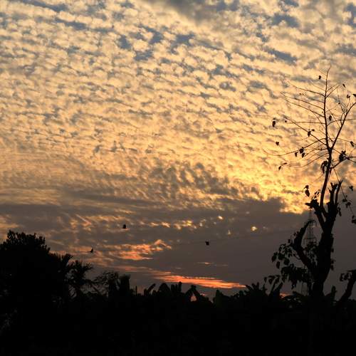 Photo #12499430