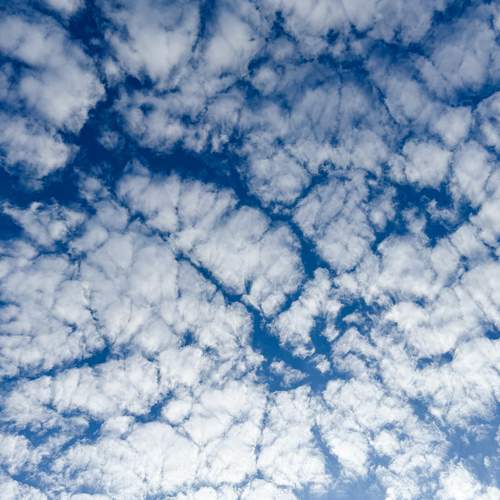Photo #12499488