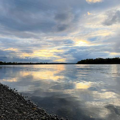 Photo #12499491
