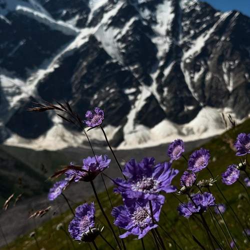Photo #12499542