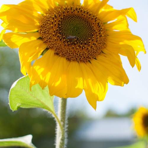 Photo #12499556