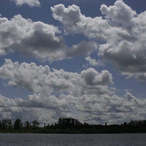 Photo #12499633