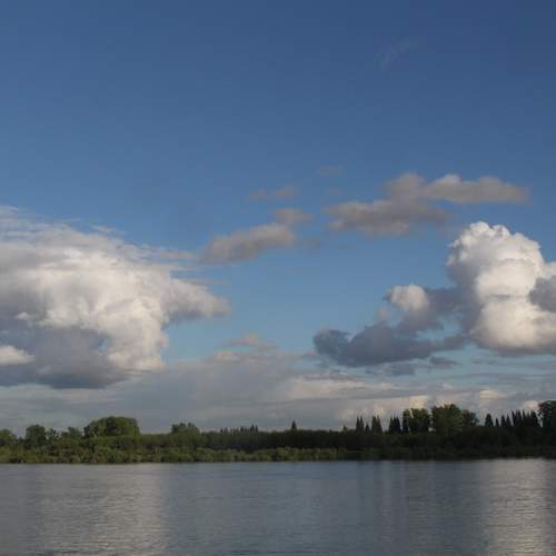 Photo #12499635