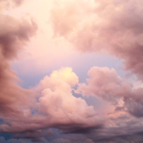 Photo #12499666