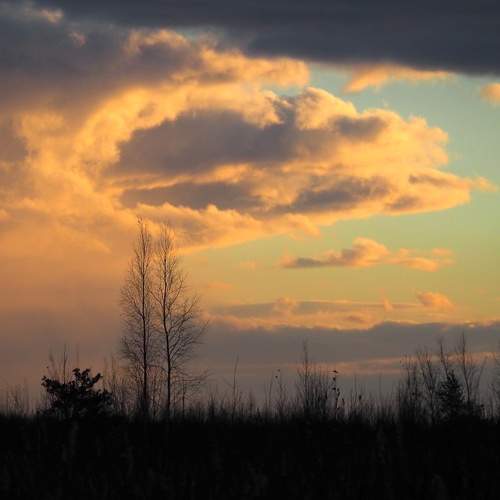 Photo #12499678