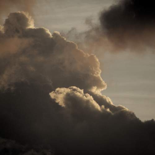 Photo #12499699