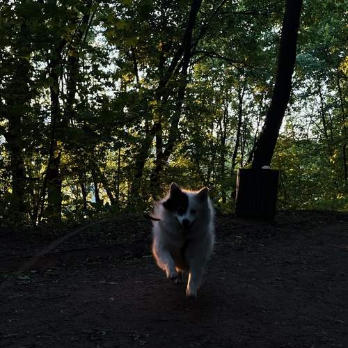 Photo #12499731
