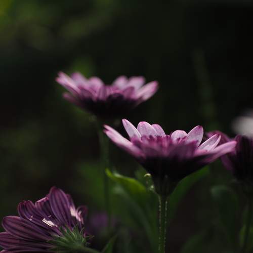 Photo #12499790