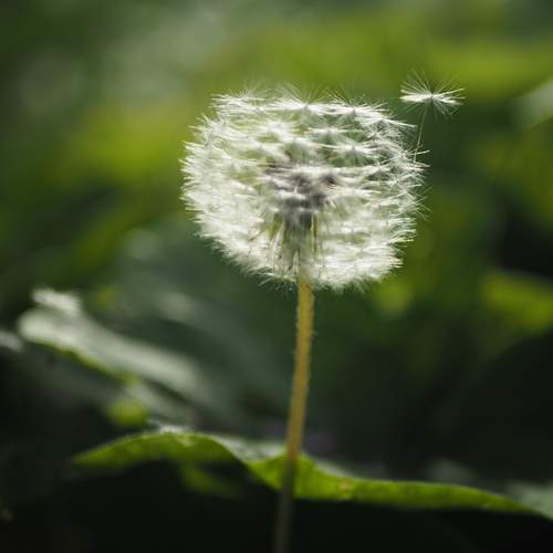 Photo #12499797