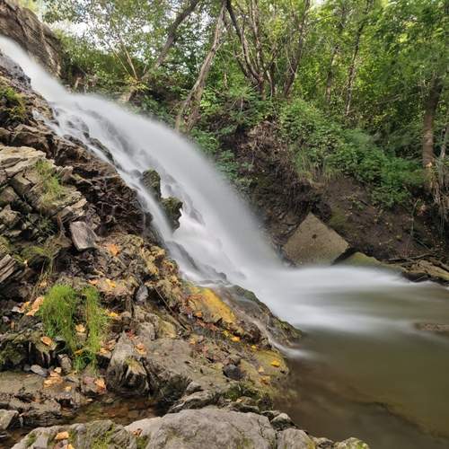 Photo #12499804