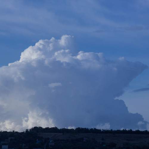 Photo #12499832