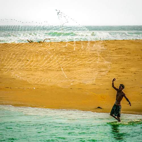 Between Sand and Sea