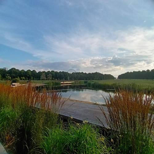 Photo #12499836