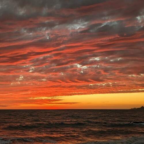 Photo #12499920